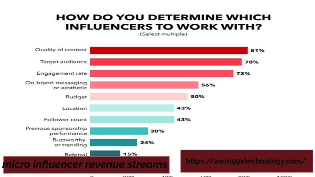 micro influencer revenue streams