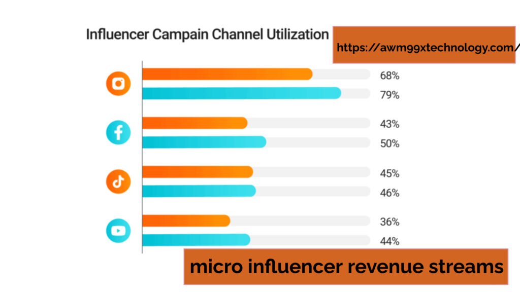 micro influencer revenue streams