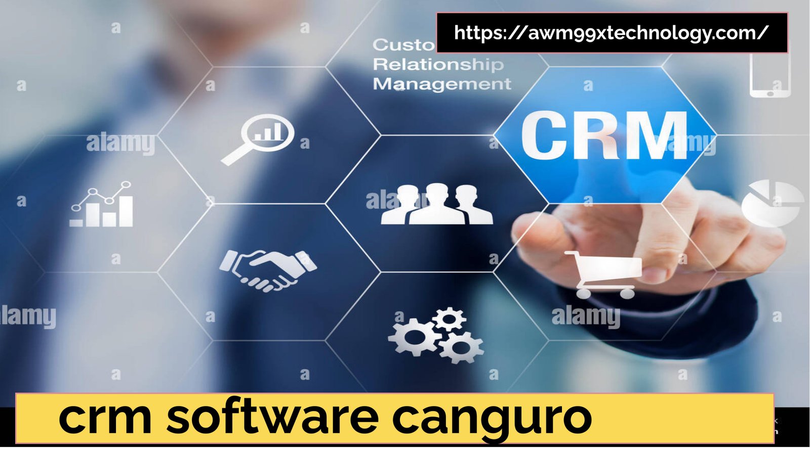 crm software canguro