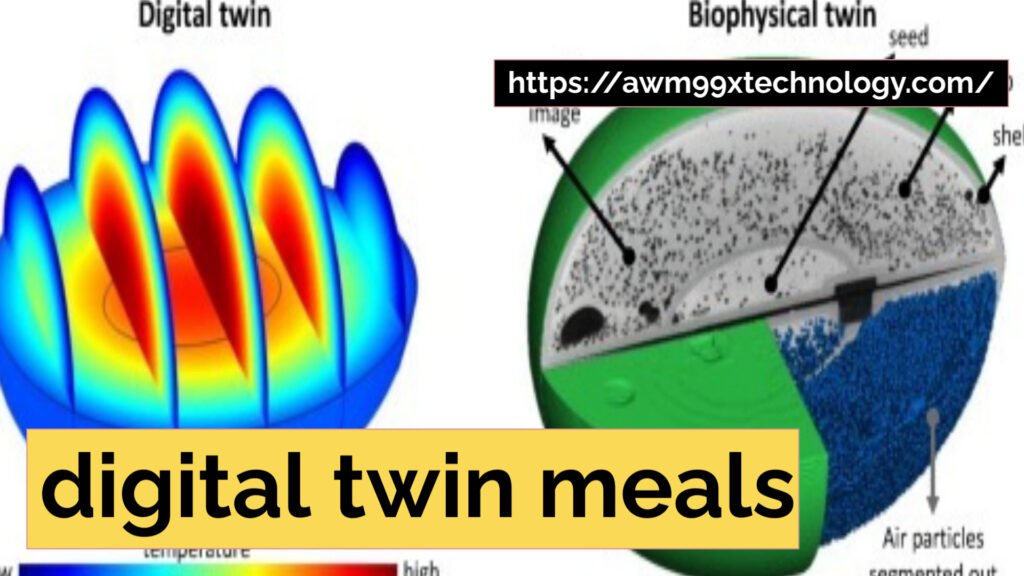 digital twin meals