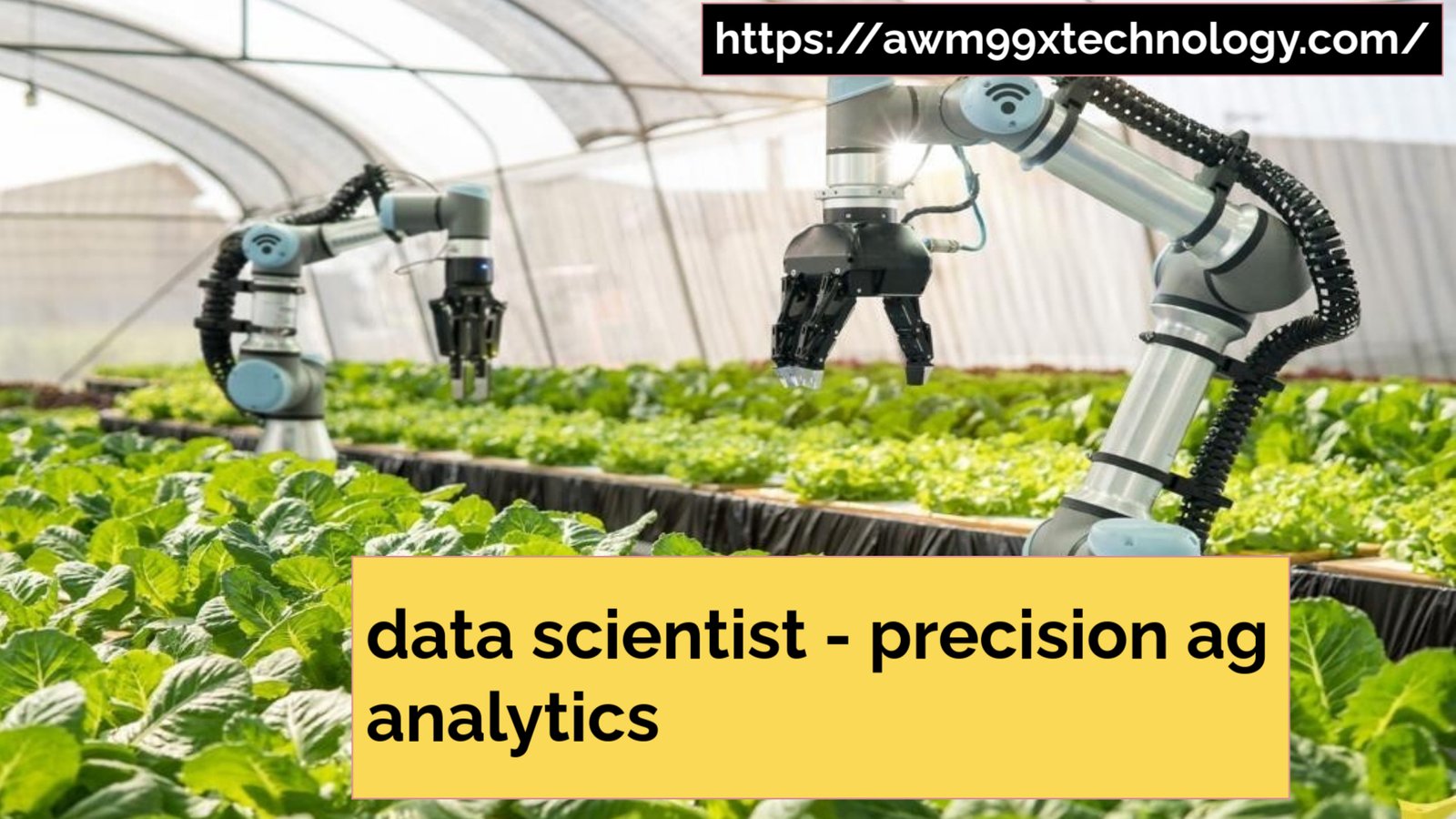 data scientist-precision analttics